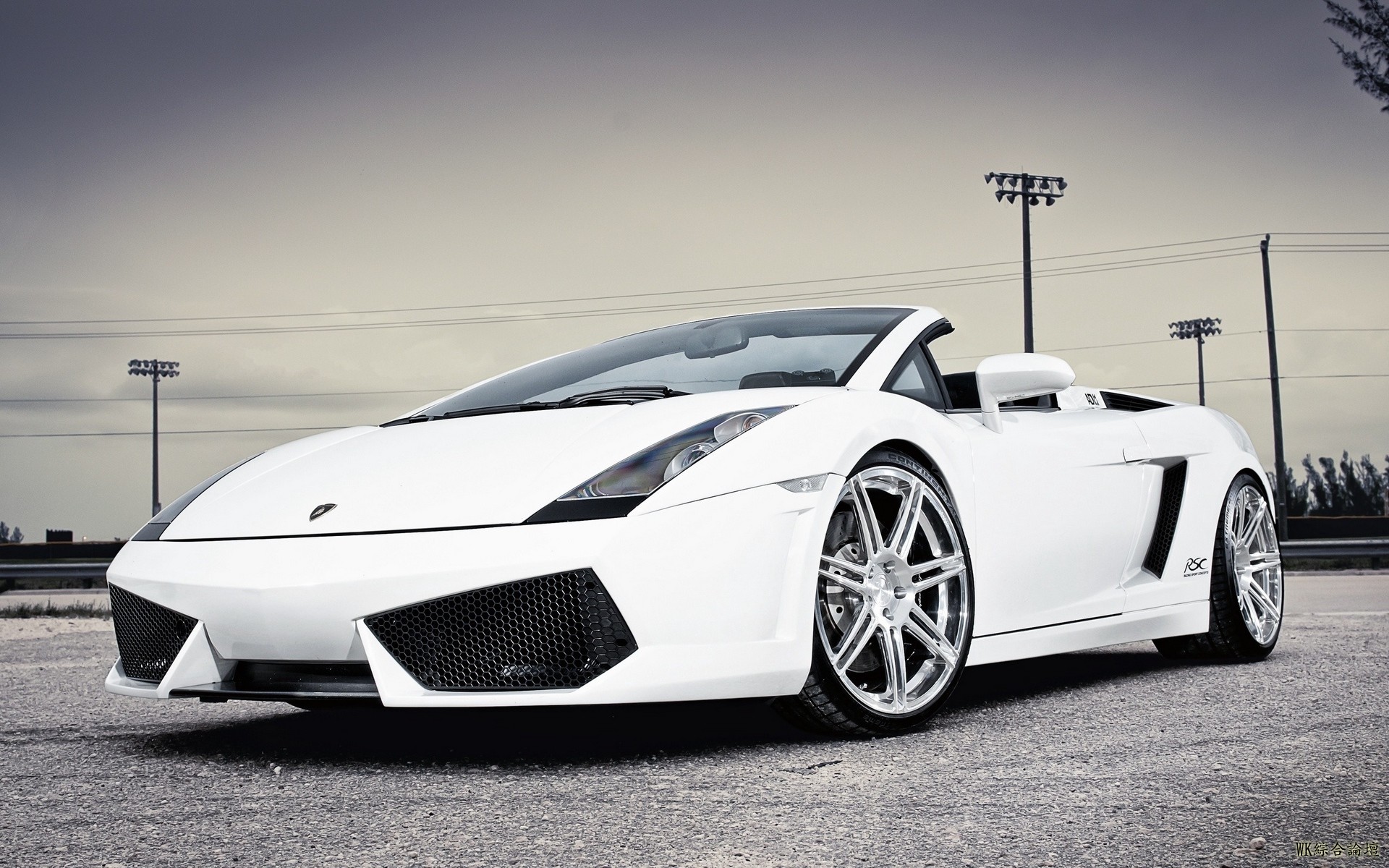 lamborghini_gallardo_lamborghini_white_auto_93194_1920x1200.jpg