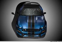 賽道輕量版，FORD Mustang Shelby GT350R發表(11p)