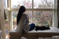 郭碧婷抱猫咪赏樱 长发及腰背影唯美[6P]